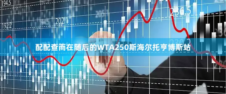 配配查而在随后的WTA250斯海尔托亨博斯站