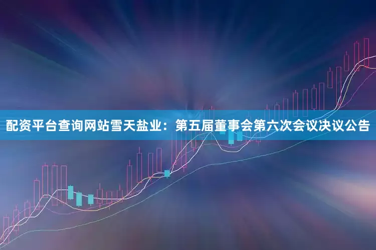 配资平台查询网站雪天盐业：第五届董事会第六次会议决议公告
