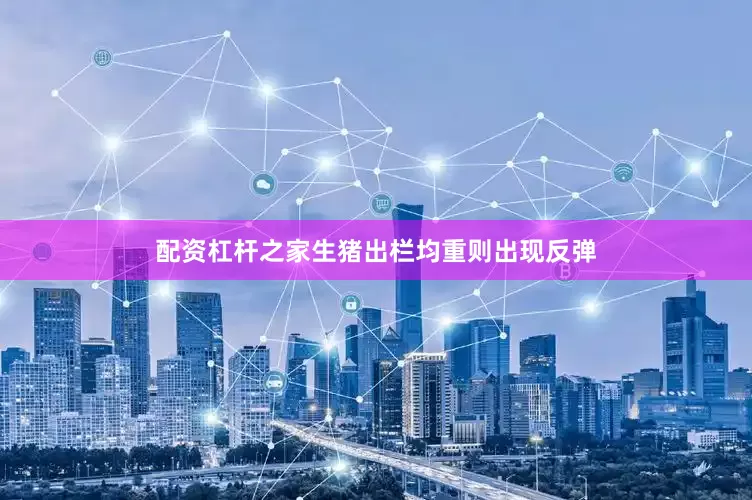 配资杠杆之家生猪出栏均重则出现反弹