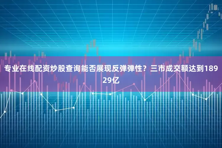 专业在线配资炒股查询能否展现反弹弹性?三市成交额达到18929亿